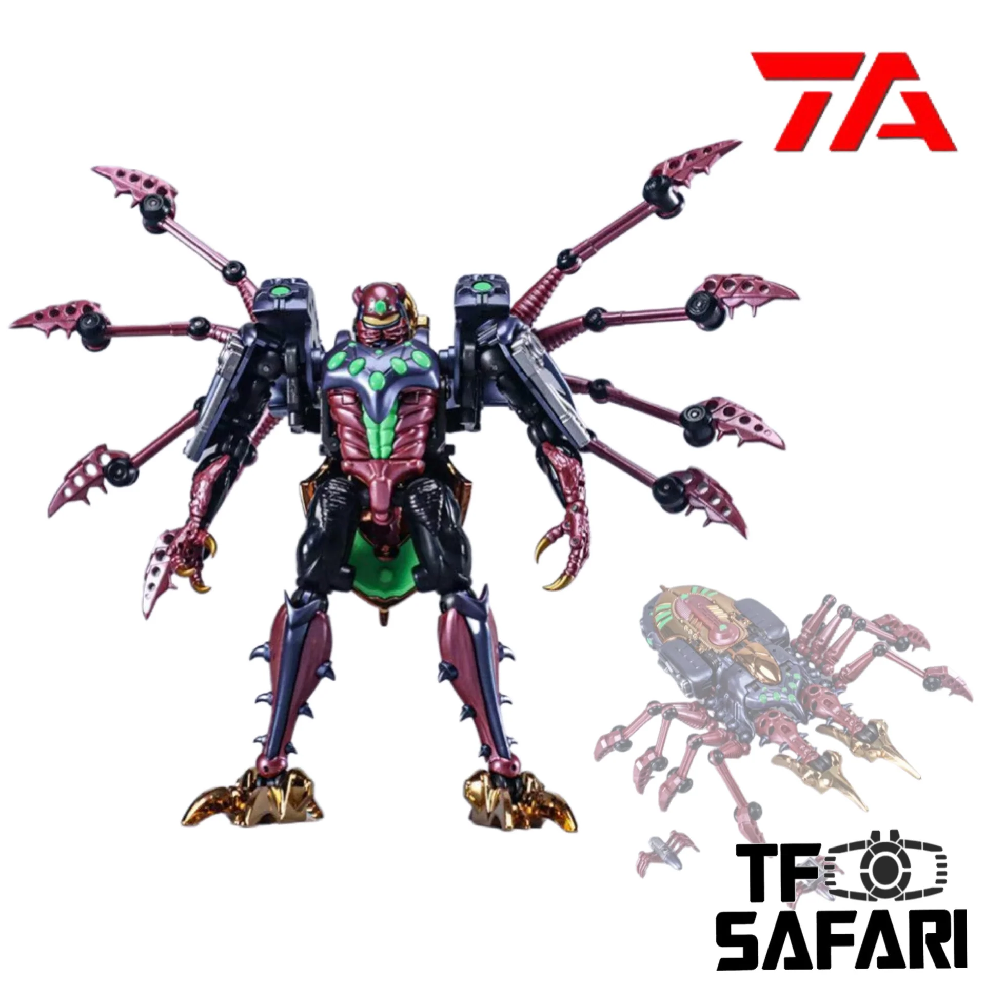 Transart TA BWM-11 BWM11 Lycosa (BW Beast Transmetal Tarantulas) 16.5cm / 6.5"
